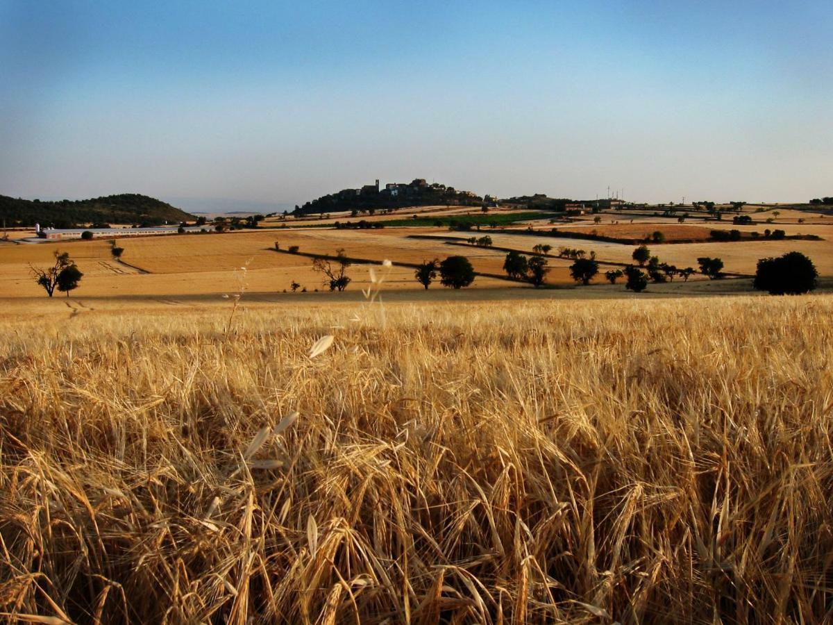 منزل الضيف Cubells  في La Granja Del Besa المظهر الخارجي الصورة